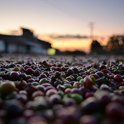 Coffee-Pics-Slider8