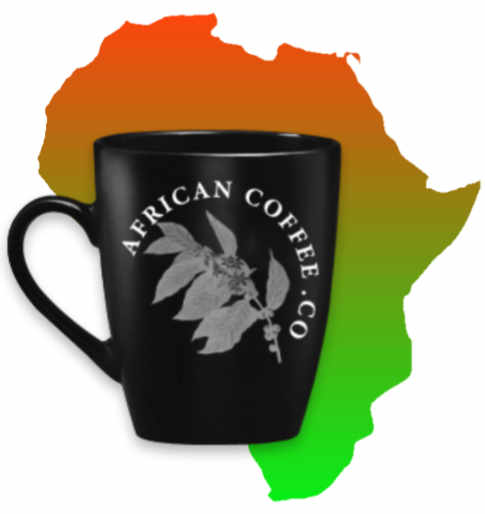 Cup-Africa-2